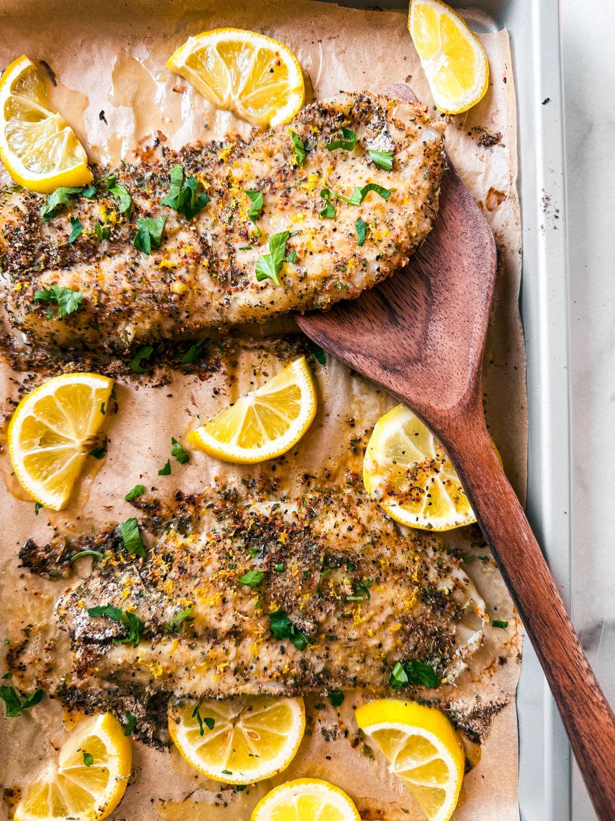 Wild-Caught Grouper Fillets – 1 lb or 10 lb Case