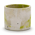 Lime & Gray Concrete Flower Pot | 6" x 4.75" x 4.75" | Color Crete Creations