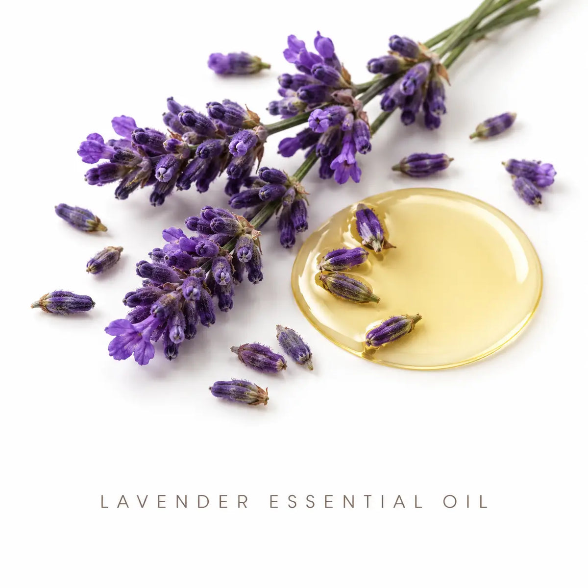 Lulu's Holistics Aluminum-Free Deodorant Duo – Lemon Turmeric + Tea Tree Lavender (2 x 2.65oz)