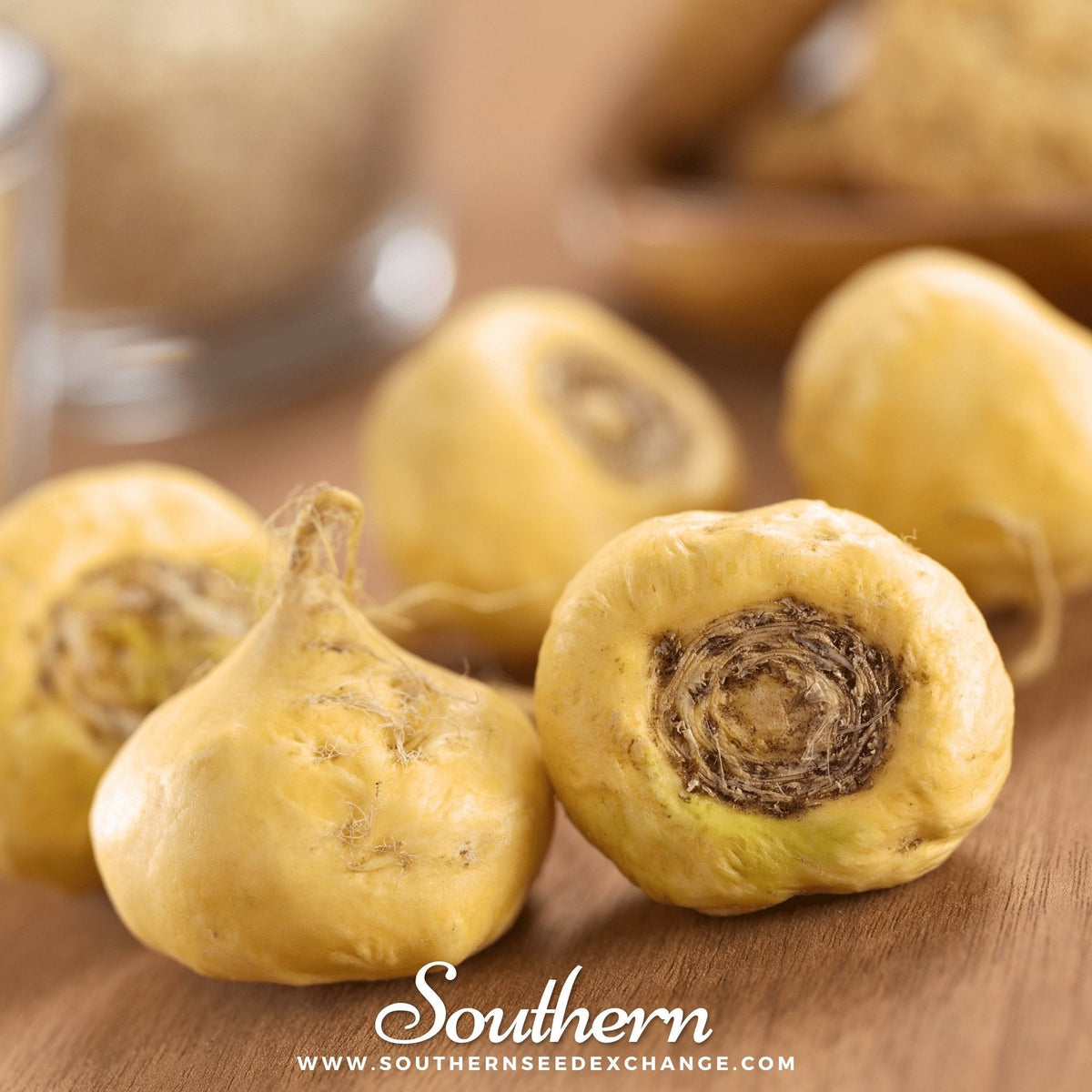 Maca – 25 Seeds
