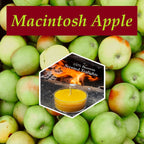 Macintosh Apple Scented Beeswax Tealight Candle