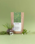 Matcha Genmaicha