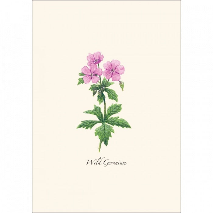 Meadow Wildflower Assortment Greeting Cards