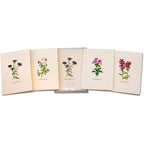Meadow Wildflower Assortment Greeting Cards
