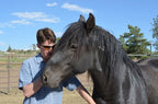 Merlin's Dark Horse Blend