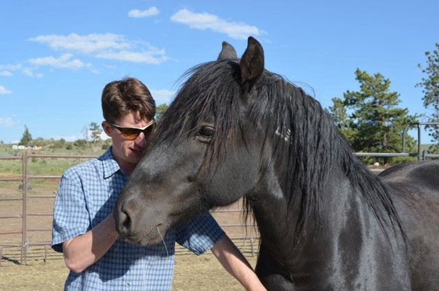 Merlin's Dark Horse Blend