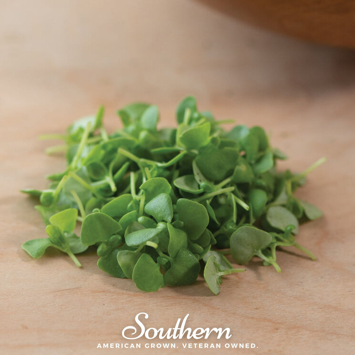 Basil Genovese Microgreen – 8 grams