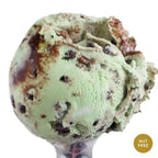 Mint Cookie Crunch Ice Cream | Pack of 4 | One Pint | Shipping Included | eCreamery