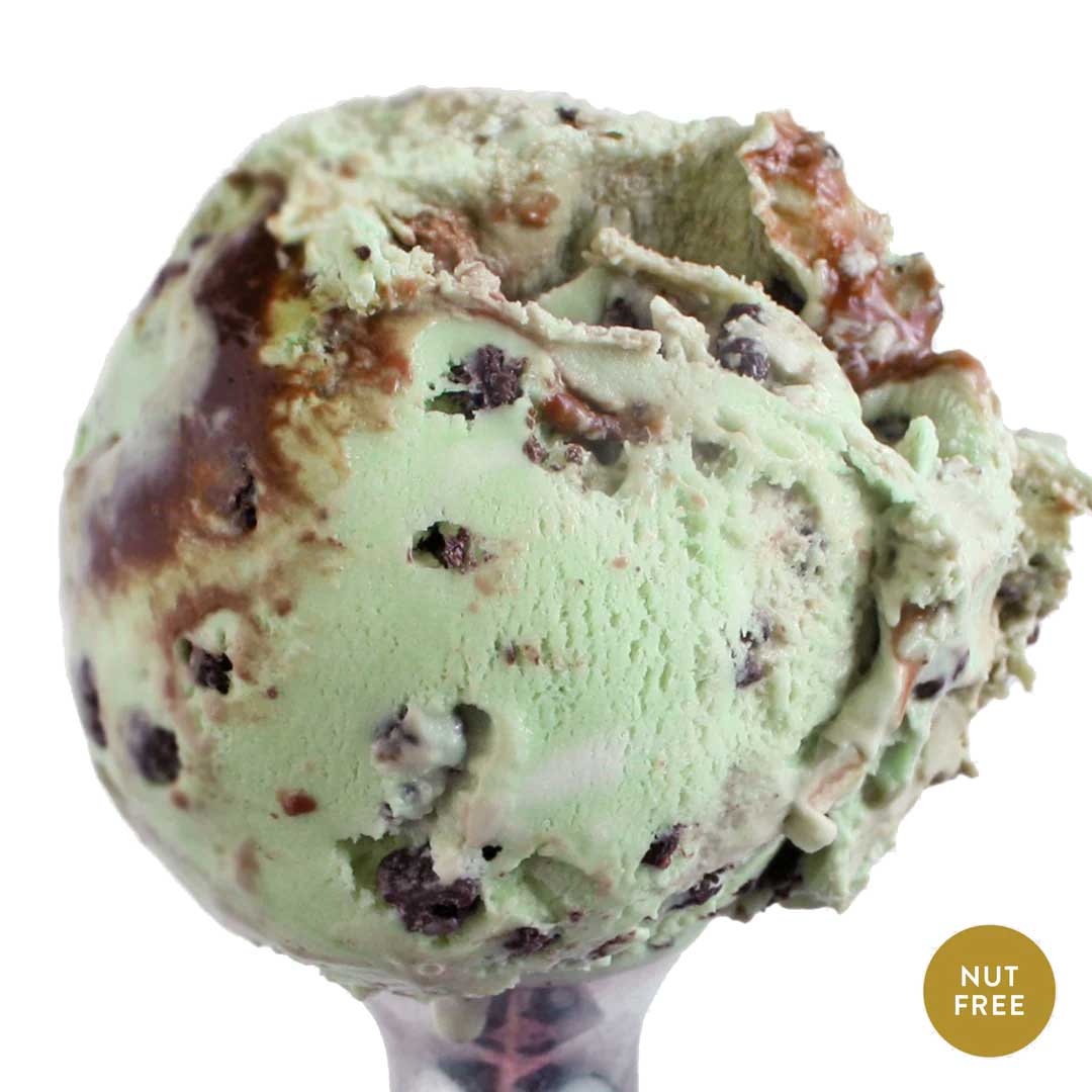 Mint Cookie Crunch Ice Cream | Pack of 4 | One Pint | Shipping Included | eCreamery