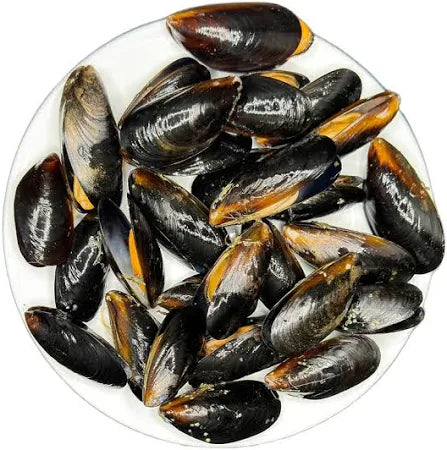 Chilean Black Mussels — 1 lb