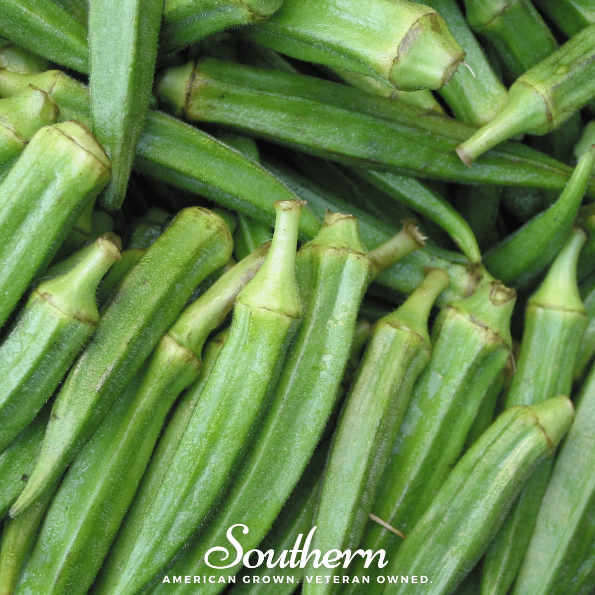 Clemson Spineless Okra – 50 Seeds