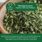 Dried Moringa Leaves 2.6 oz – Loose Leaf Herbal Tea | Akshit