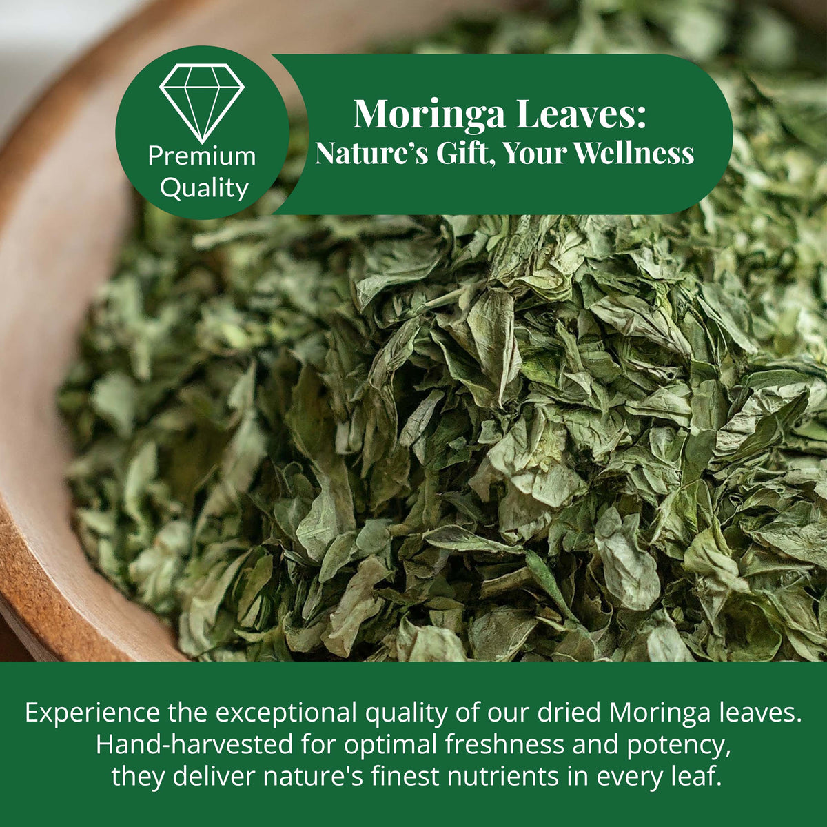 Dried Moringa Leaves 2.6 oz – Loose Leaf Herbal Tea | Akshit