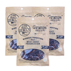Gramps Original Flavor Beef Jerky | 2.5 oz | Pack of 3 | JVL Enterprises