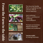 Grade A Vanilla Beans – Whole Vanilla Pods for Baking & Extract