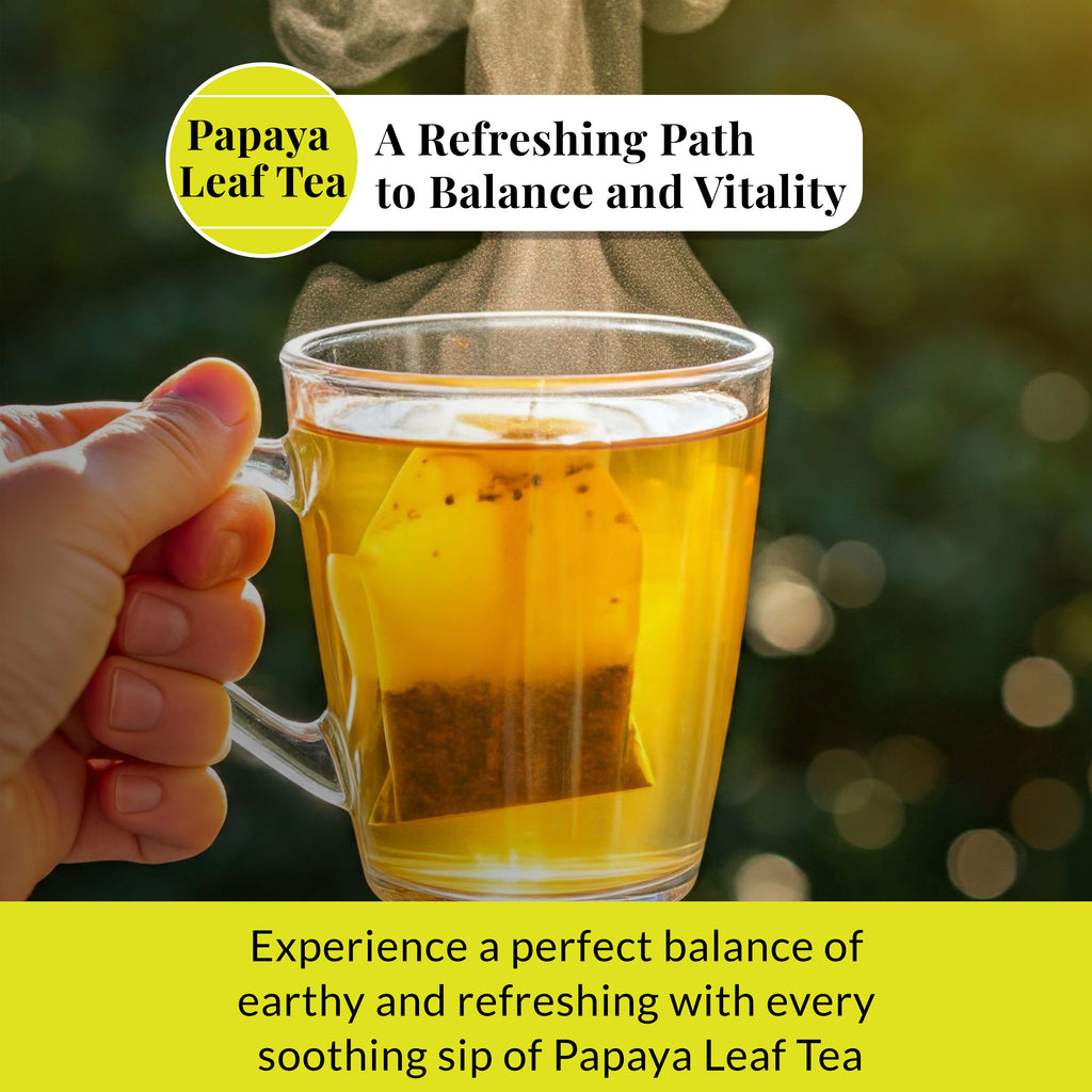 Papaya Leaf Tea Bags – 75 Count | Caffeine-Free Herbal Tea