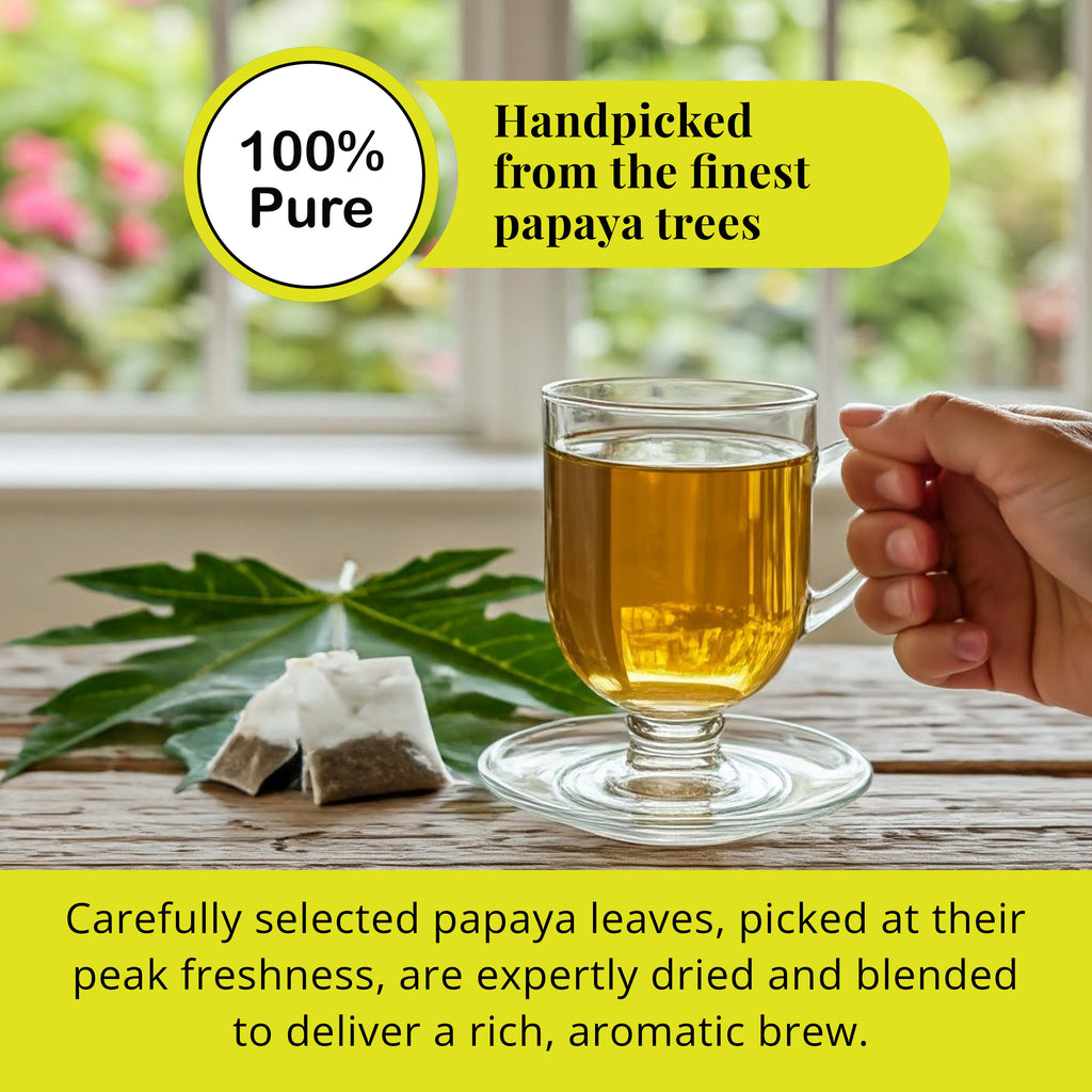 Papaya Leaf Tea Bags – 75 Count | Caffeine-Free Herbal Tea