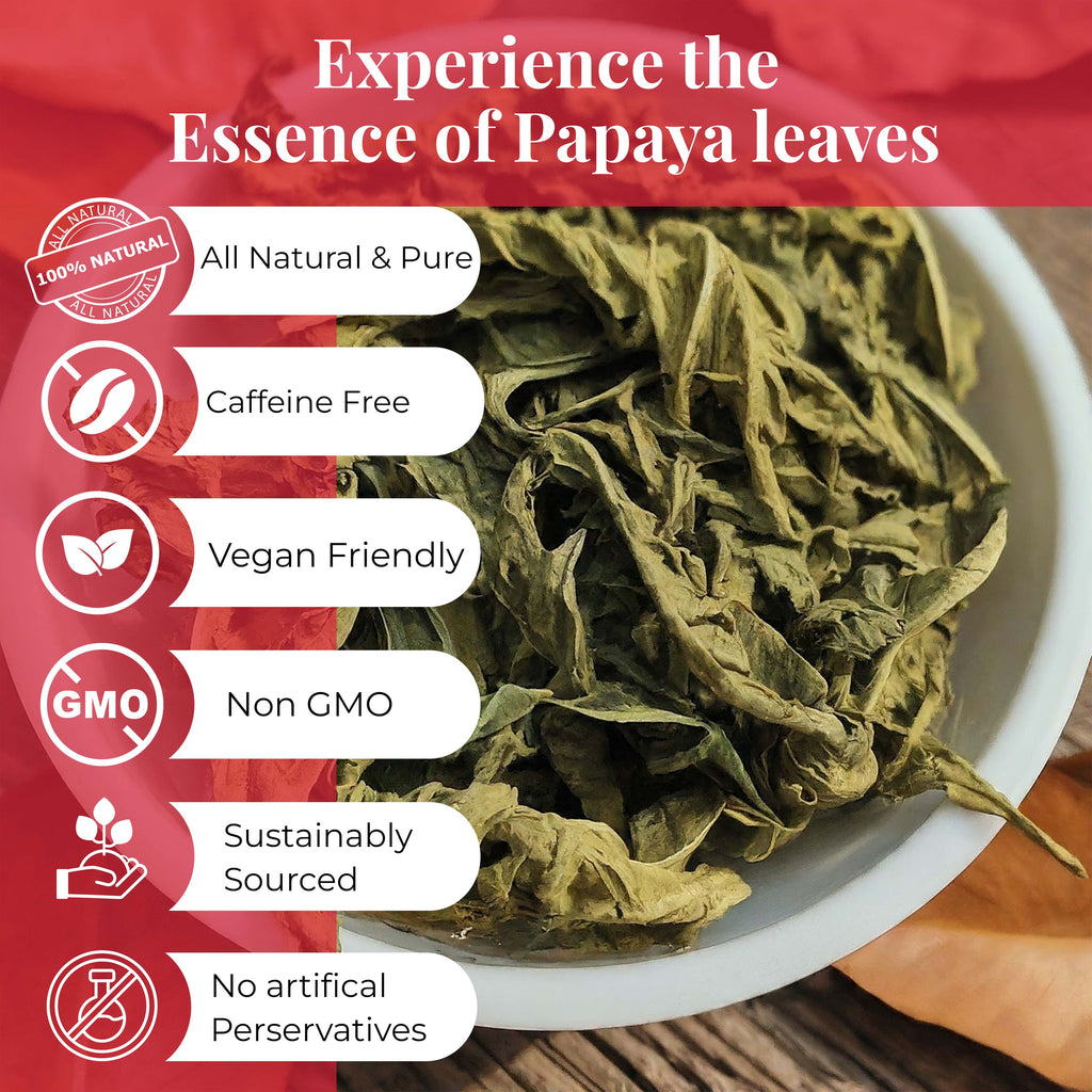 Dried Papaya Leaves 2.6 oz – Loose Leaf Herbal Tea | Akshit