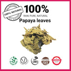 Dried Papaya Leaves 2.6 oz – Loose Leaf Herbal Tea | Akshit