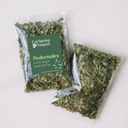 Loose Leaf Yaupon Variety Pack – Green, Medium & Dark Roasts