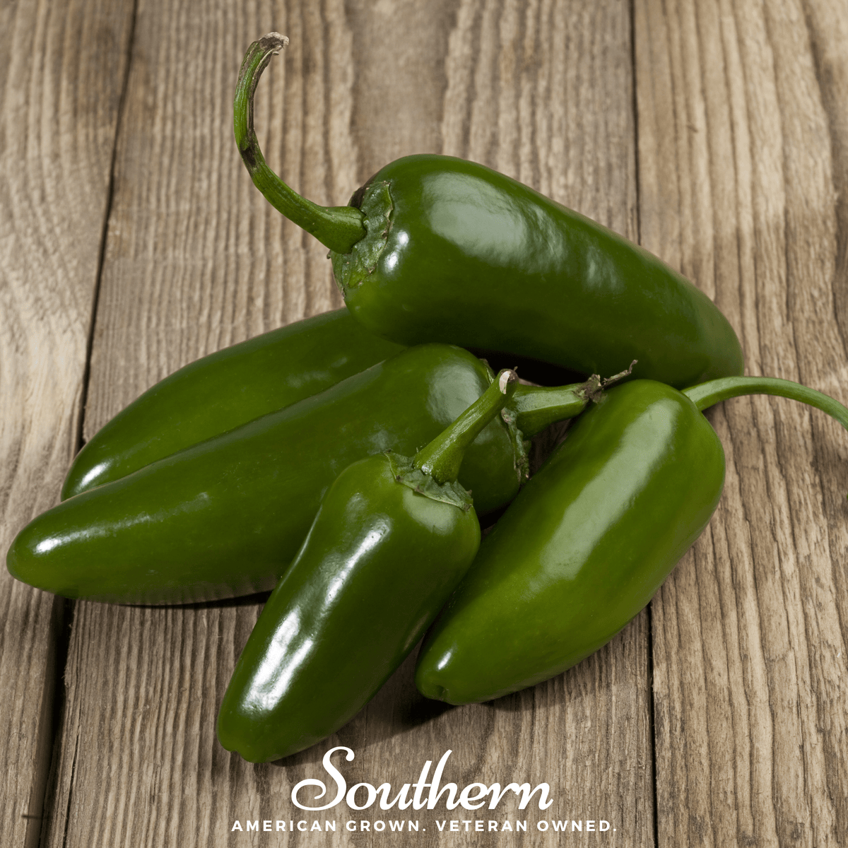Jalapeño Early Pepper – 25 Seeds