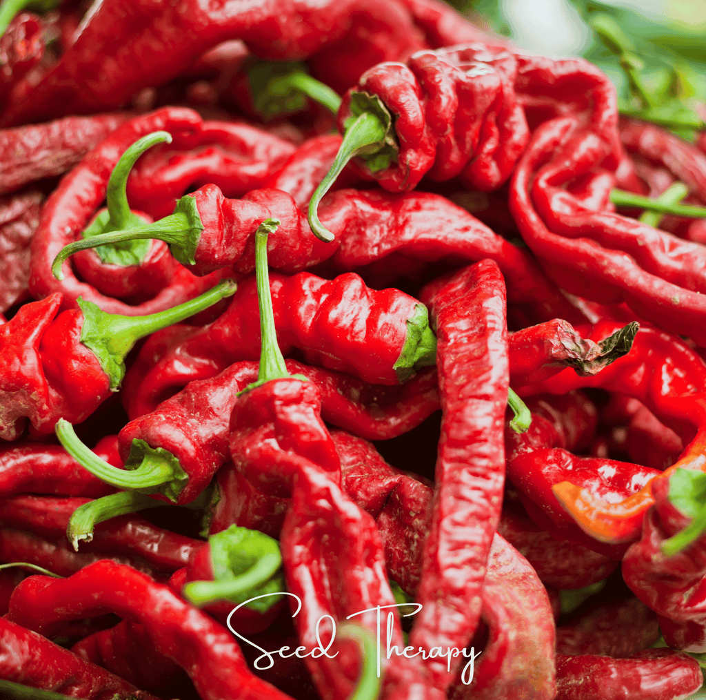 Jimmy Nardello's Pepper – 25 Seeds