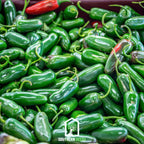 Pepper Seed Collection – 6 Essential Heirloom Peppers