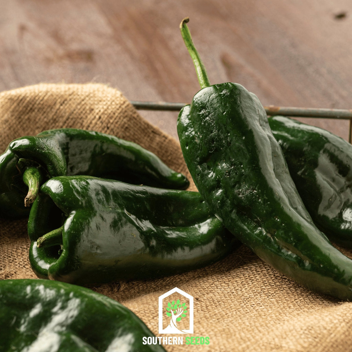 Pepper Seed Collection – 6 Essential Heirloom Peppers