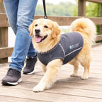 Pet Life ®  Active 'Racerbark' 4-Way-Stretch Yoga Fitness Dog T-Shirt Tank Top