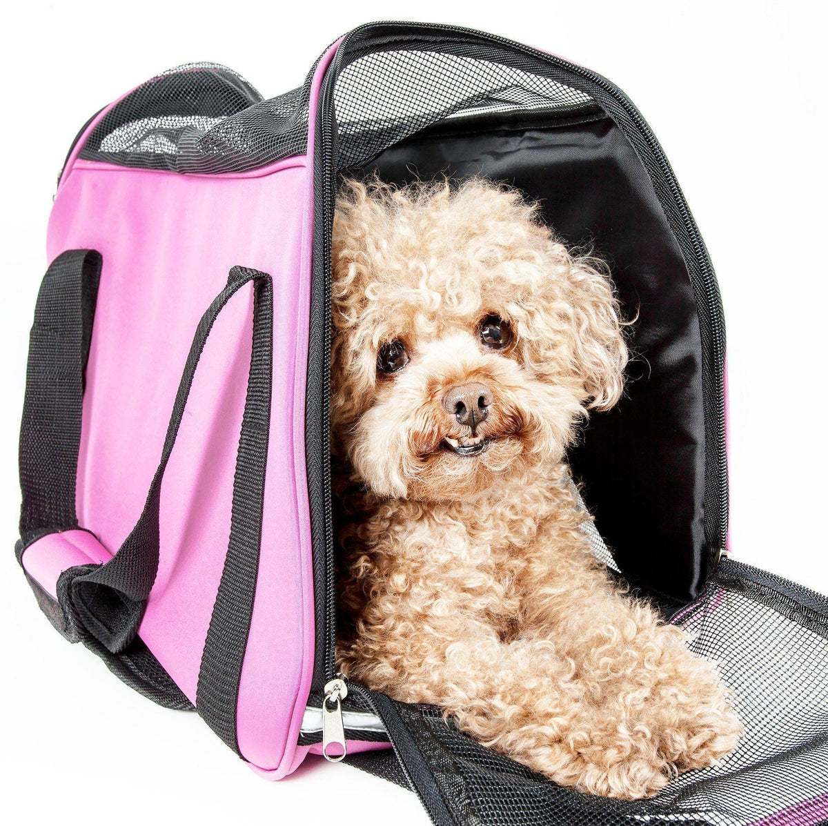 Pet Life ® 'Altitude Force' Airline Approved Sporty Zippered Folding Fashion Pet Dog Carrier