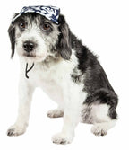 Pet Life ®  'Bone Cappa' Graffiti Sculptured Uv Protectant Adjustable Fashion Dog Hat Cap