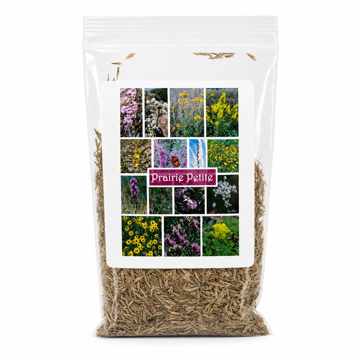Petite Nebraska Wildflower Seed Mix Bundle  | 1.44 oz | Prairie Legacy Inc.