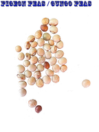 Ripkitty Premium Pigeon Peas (Gungo) Cajanus Cajan