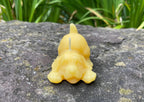 Playing Puppy Beeswax Candle