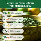 Dried Moringa Leaves 2.6 oz – Loose Leaf Herbal Tea | Akshit