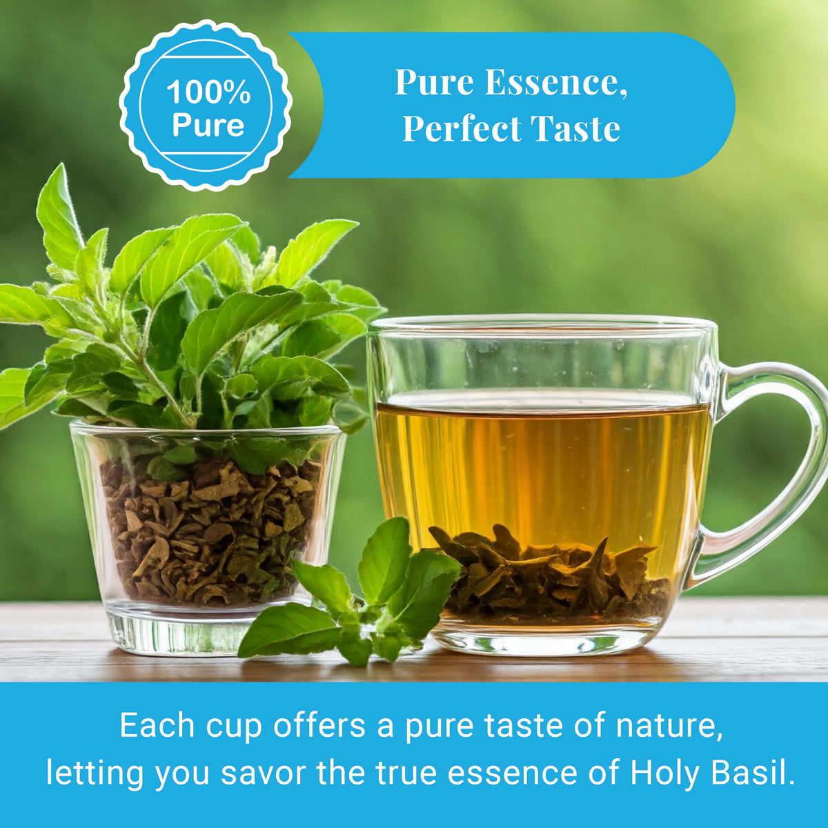 Dried Holy Basil Leaves 2.6 oz | Tulsi Tea | Akshit