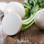 Hailstone Radish – 100 Seeds