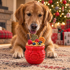 Honey Pot Dog eCup Treat Dispenser | Durable PUP-X Rubber Enrichment Toy | USA Made