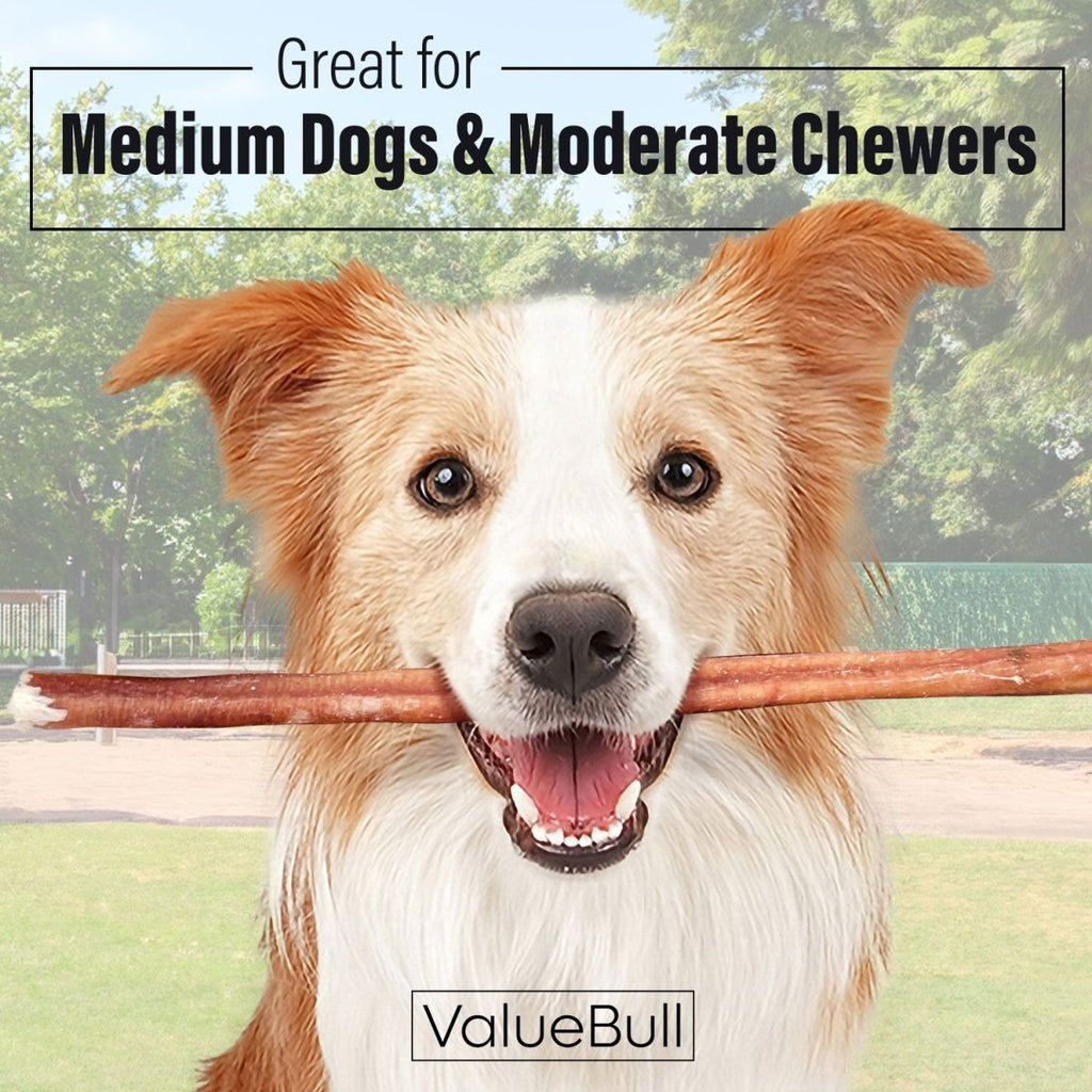 ValueBull Bully Sticks for Dogs, Medium 12 Inch, 50 Count