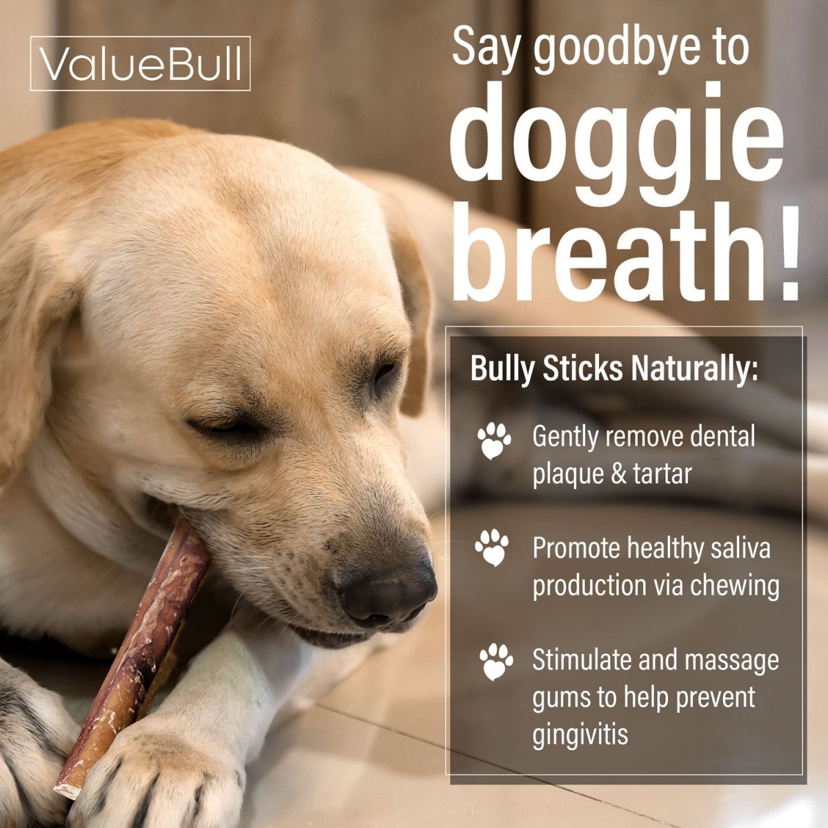 ValueBull Bully Sticks for Large Dogs, Thick 12 Inch, 25 Count