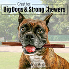 ValueBull Bully Sticks for Large Dogs, Thick 12 Inch, 25 Count