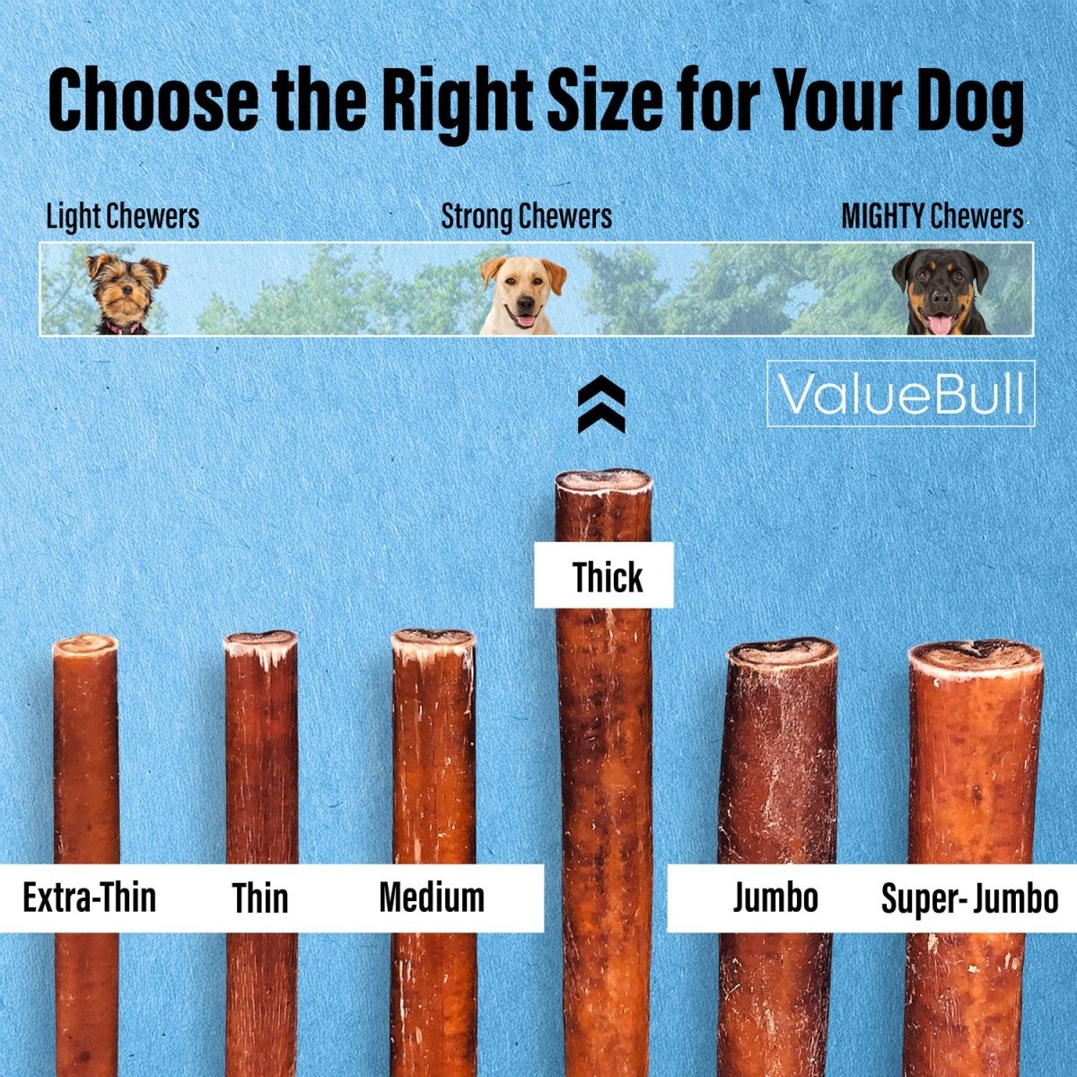 ValueBull Bully Sticks for Large Dogs, Thick 12 Inch, 50 Count