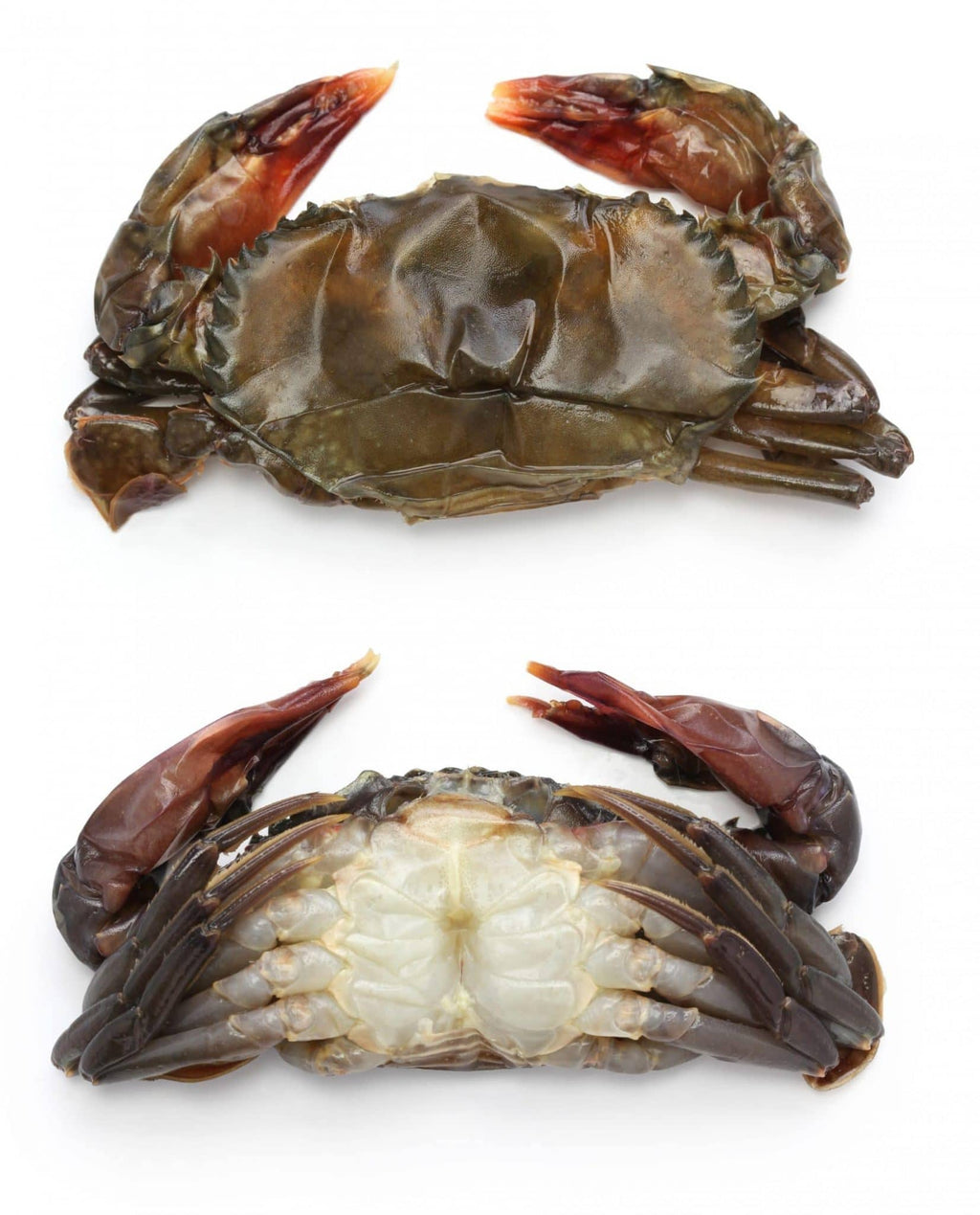 Soft Shell  Blue Crabs by dozen or half