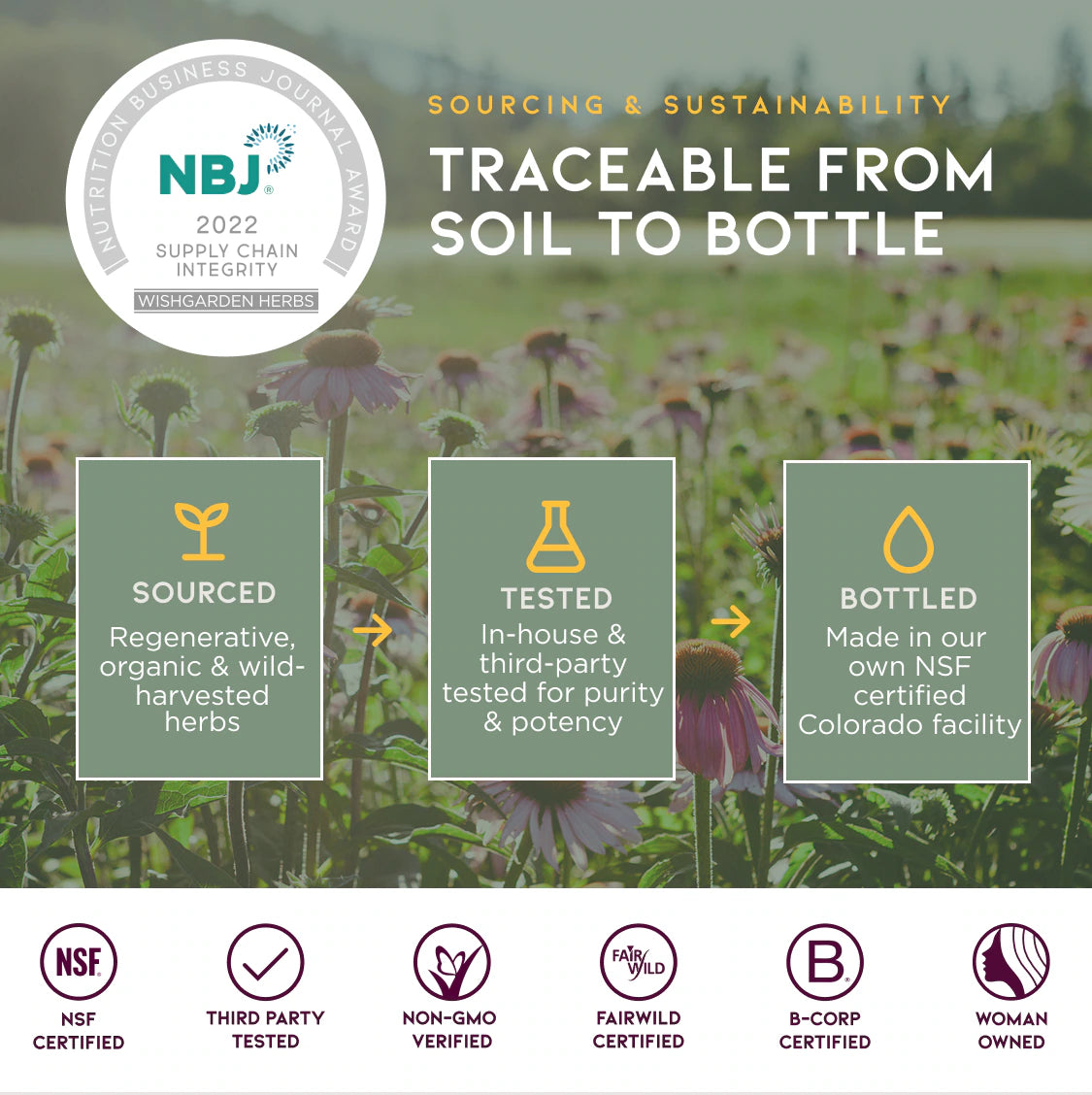 Calendula Oil, Nourish & Revitalize