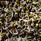 Mung Beans Sprout – 500 Seeds