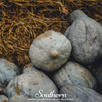 Blue Hubbard Winter Squash – 20 Seeds