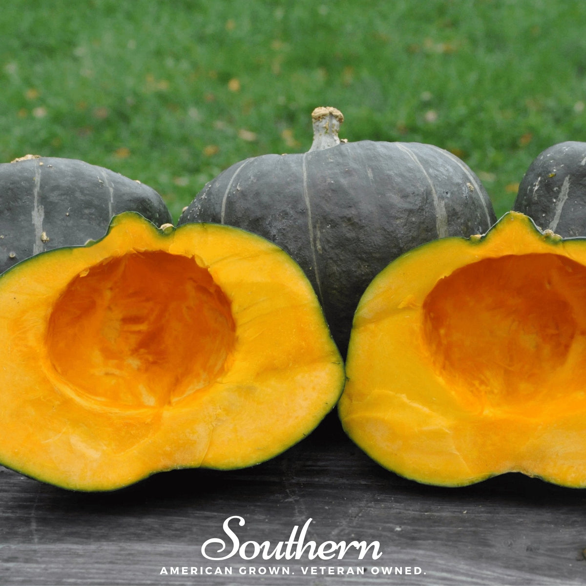 Buttercup Burgess Winter Squash – 20 Seeds