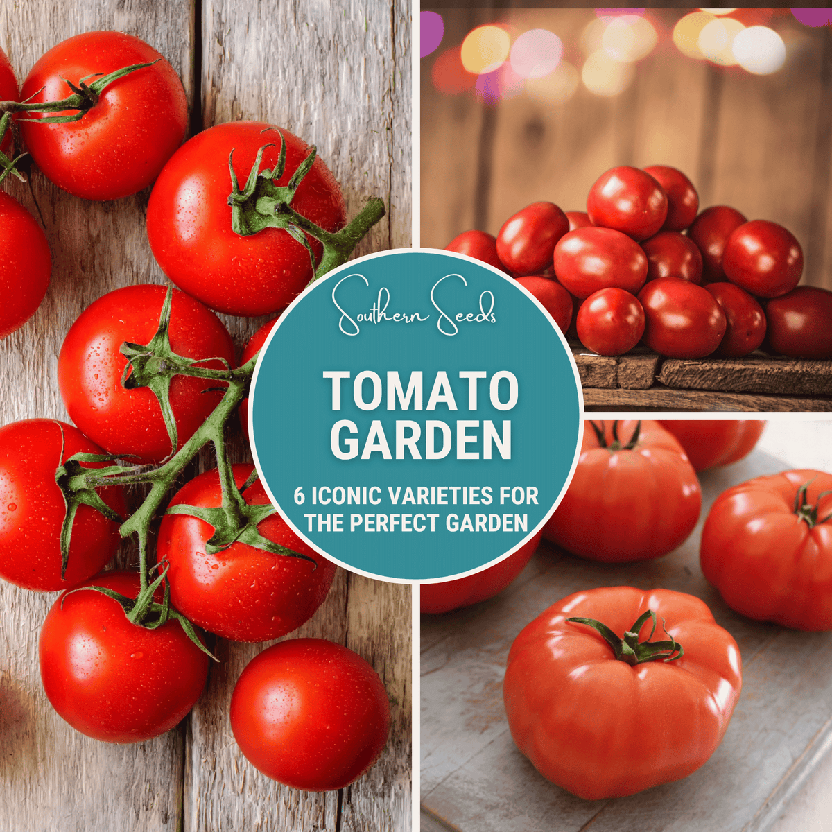 Tomato Garden Seed Collection – 6 Varieties