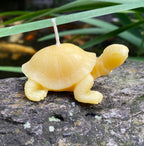 Tortoise Beeswax Candle