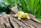 Tortoise Beeswax Candle
